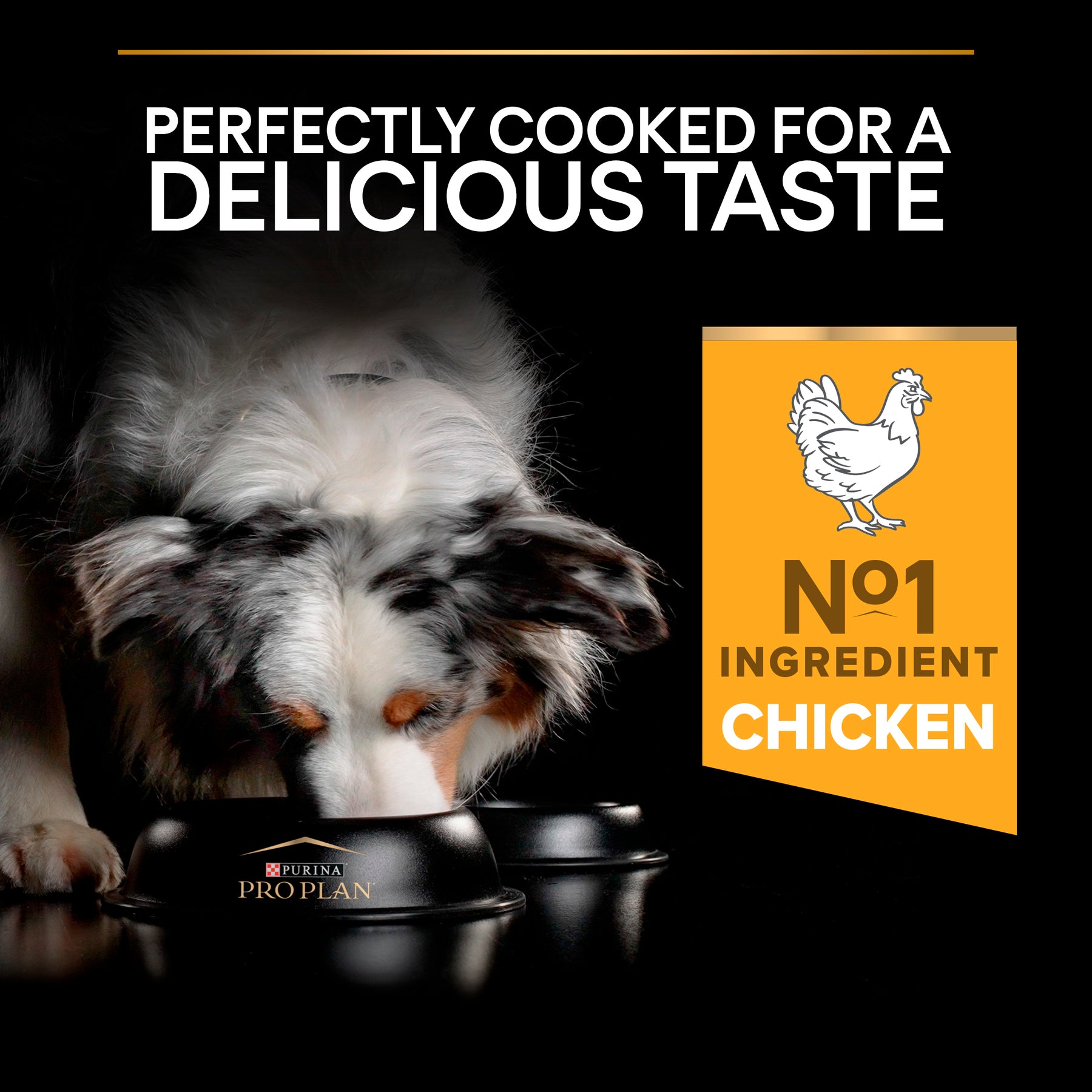 PURINA® PRO PLAN® Large Athletic Adult