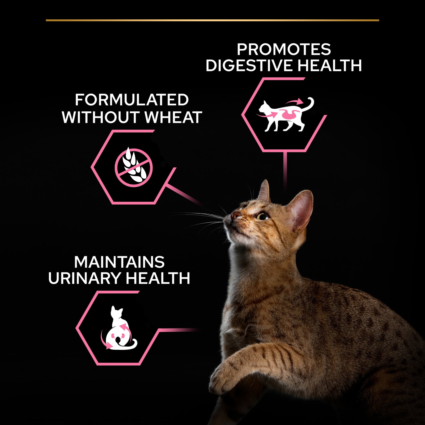 PURINA® PRO PLAN Cat Delicate Digestion Lammas