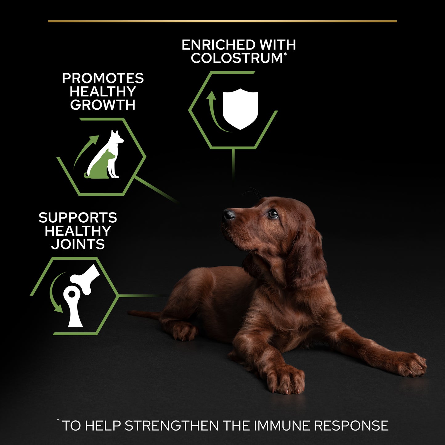 PURINA ® PRO PLAN ® Large Puppy Robust