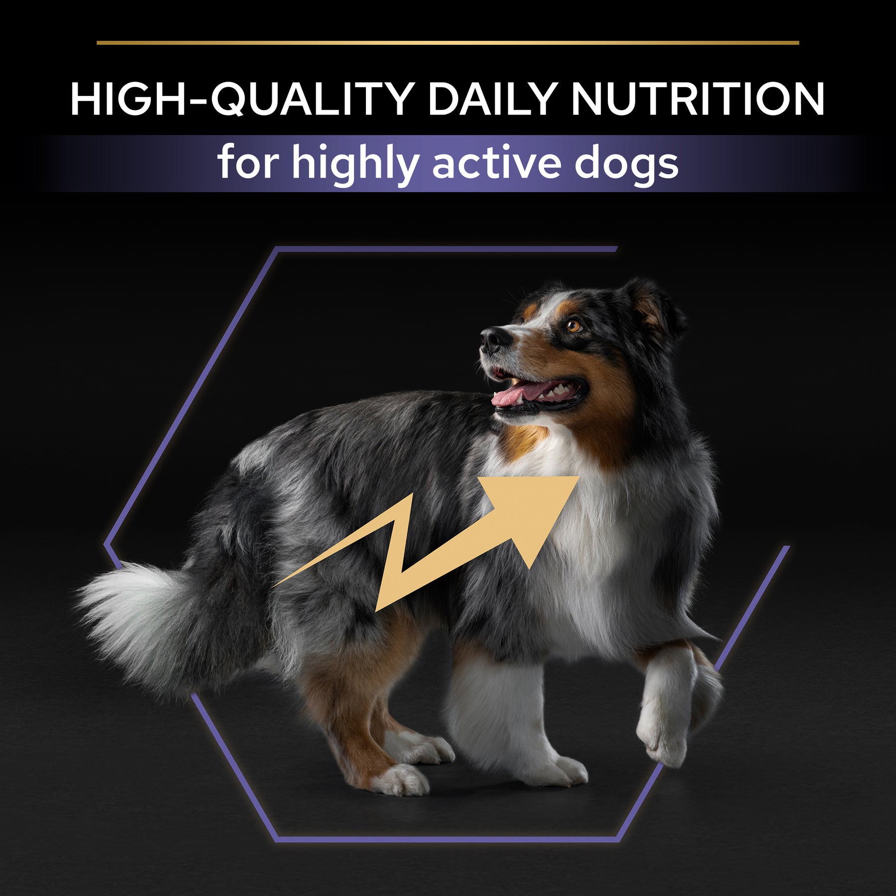 PURINA® PRO PLAN® All Sizes Adult Dog Performance