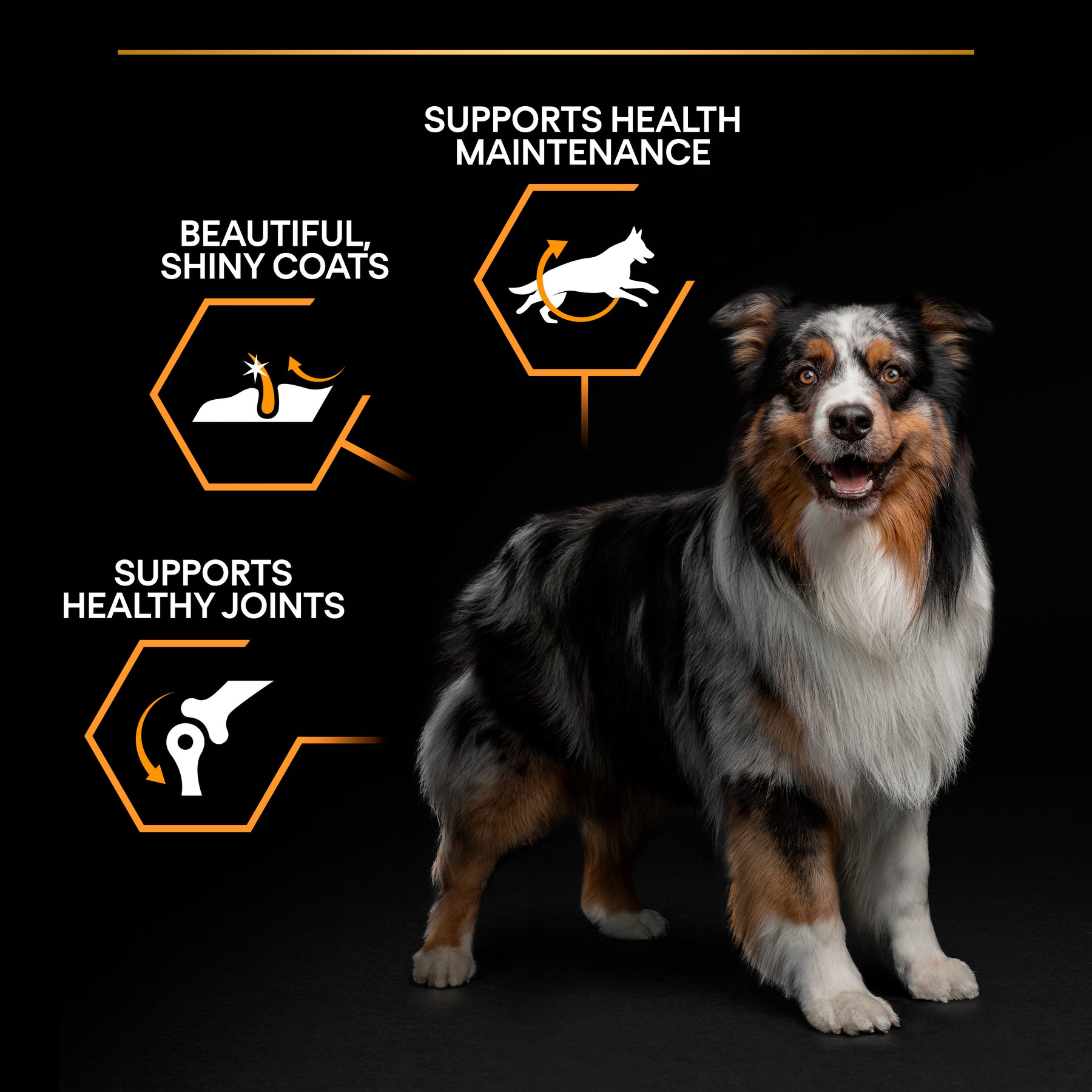 PURINA® PRO PLAN® Large Athletic Adult