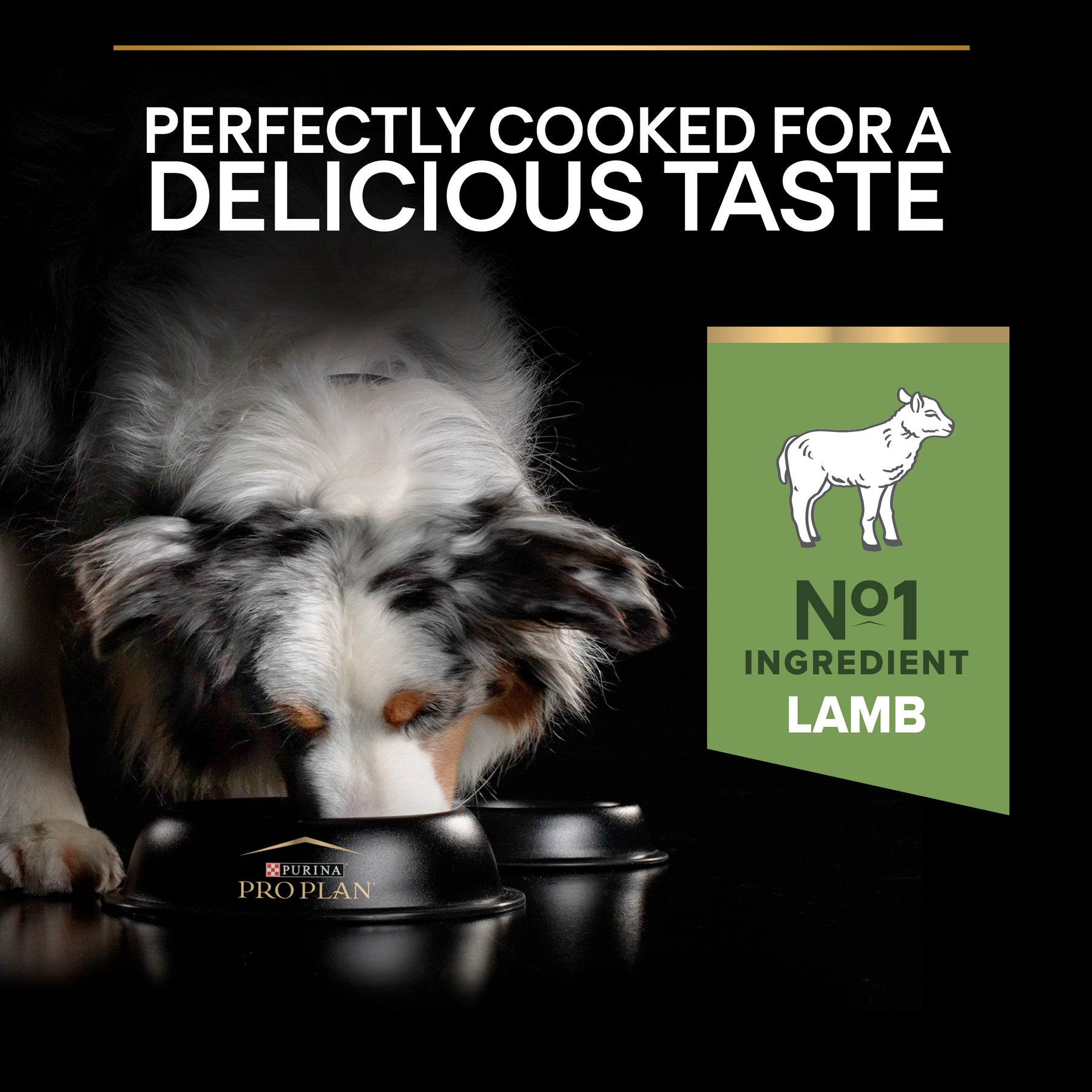 PURINA® PRO PLAN® Large Athletic Adult Sensitive Digestion
