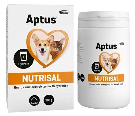 Aptus Nutrisal elektrolyyttivalmiste - Nestetasapainon ylläpitoon 180 g