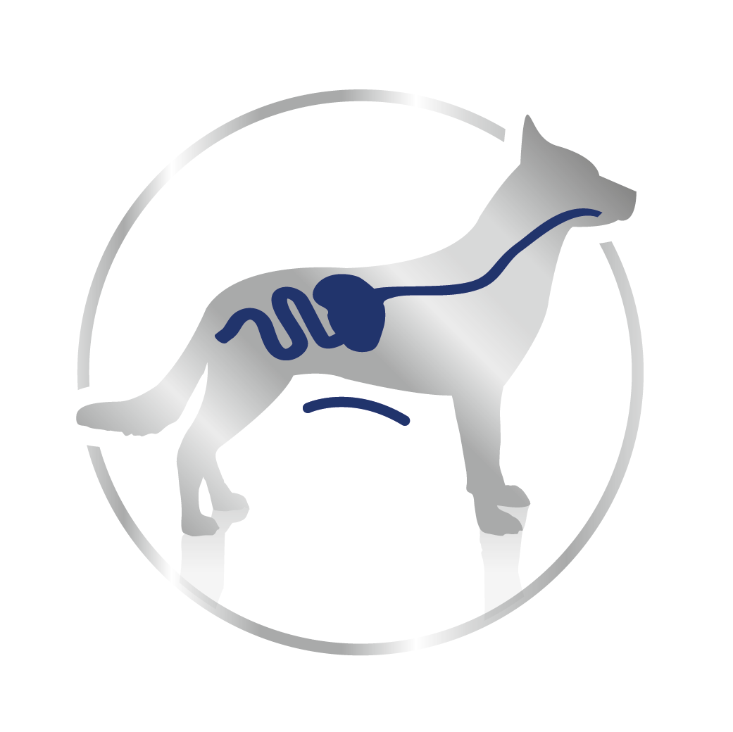 Royal Canin Maxi Adult