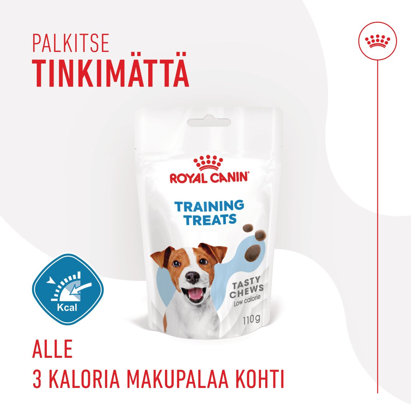 Royal Canin Training Treats 110 g