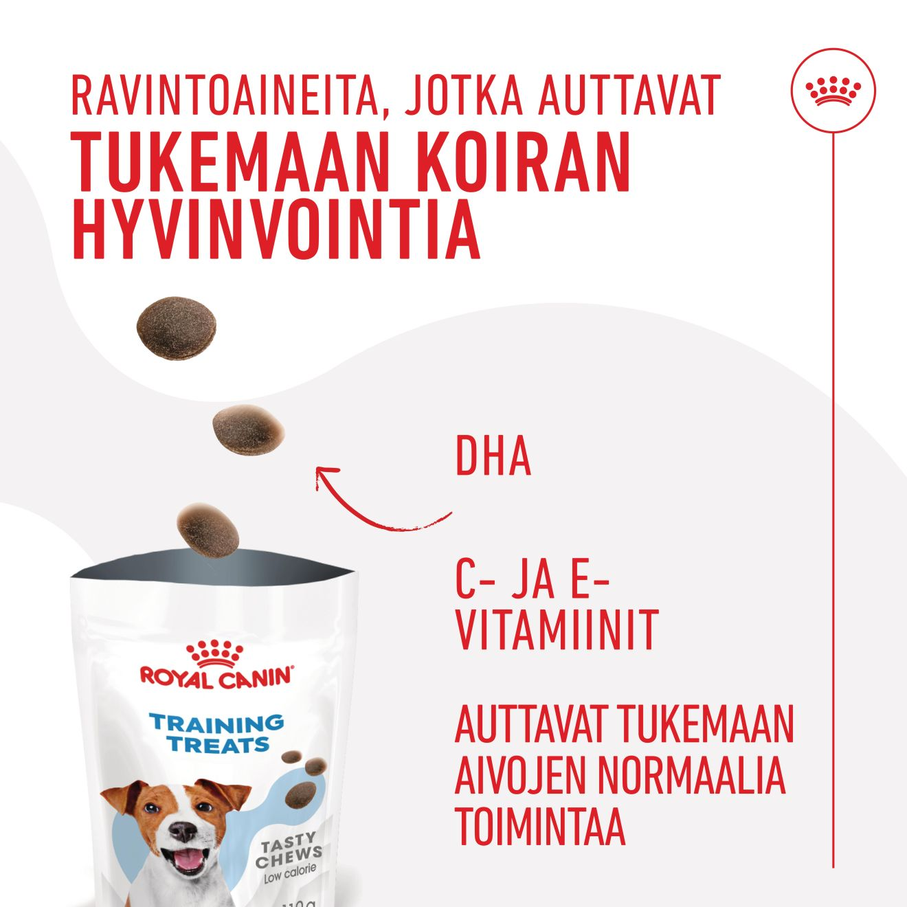 Royal Canin Training Treats 110 g