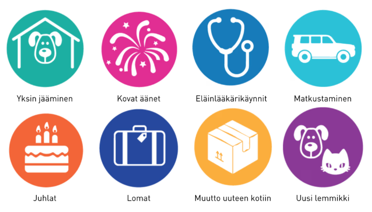 Zylkene® 75 mg - Täydennysrehu stressin lievittämiseen kissoille ja <10 kg painoisille koirille 30 kaps.