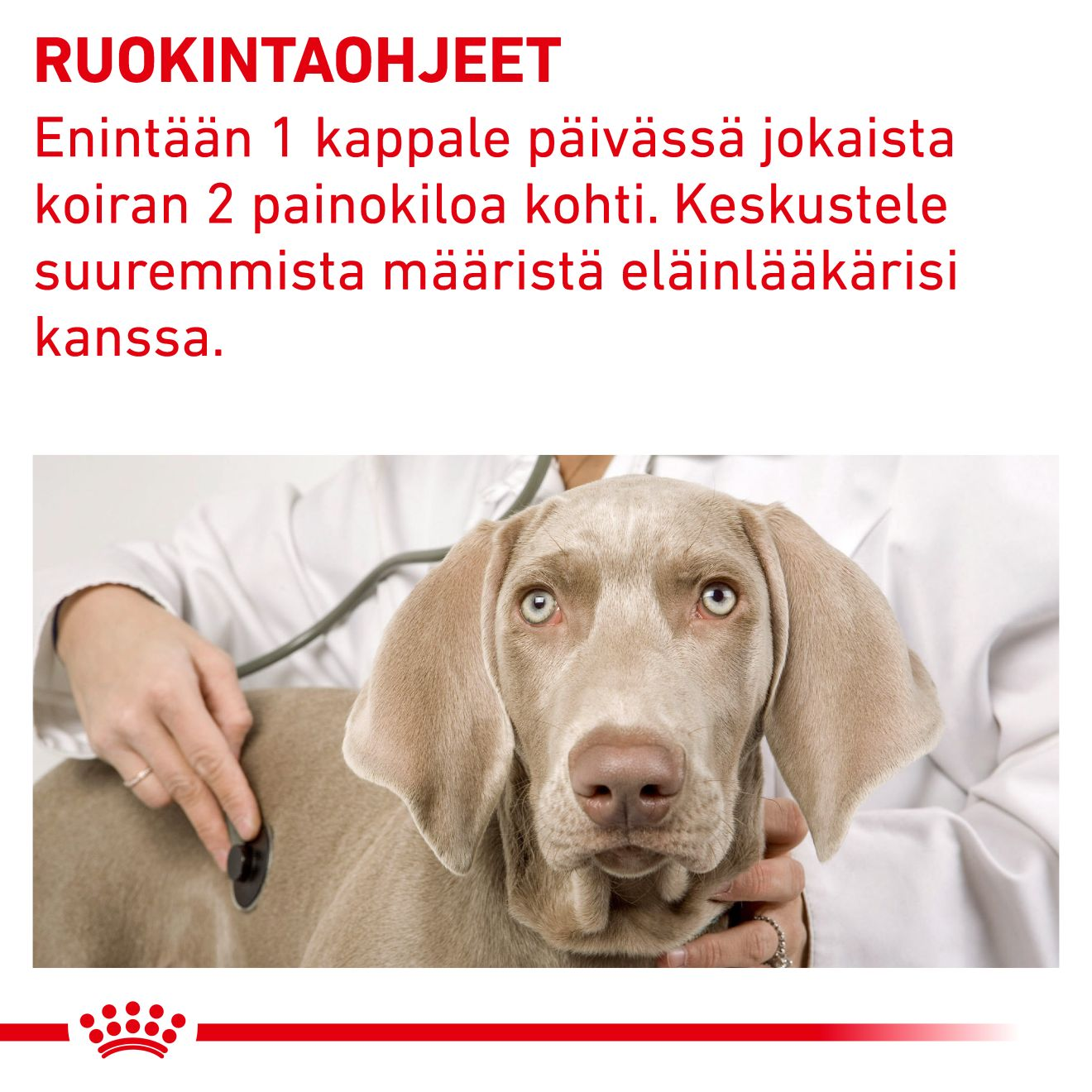 Royal Canin Veterinary Diets Pill Assist Small Dog