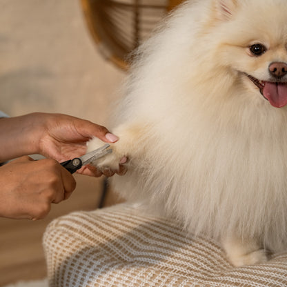 Fiskars Pyöreäkärkiset sakset