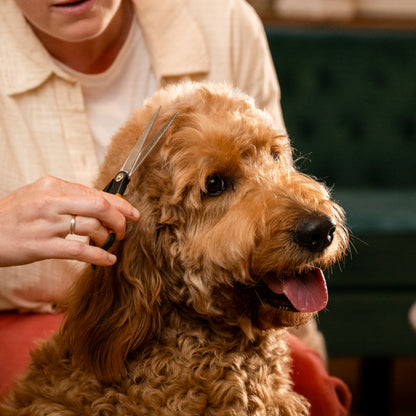 Fiskars Trimmaussakset