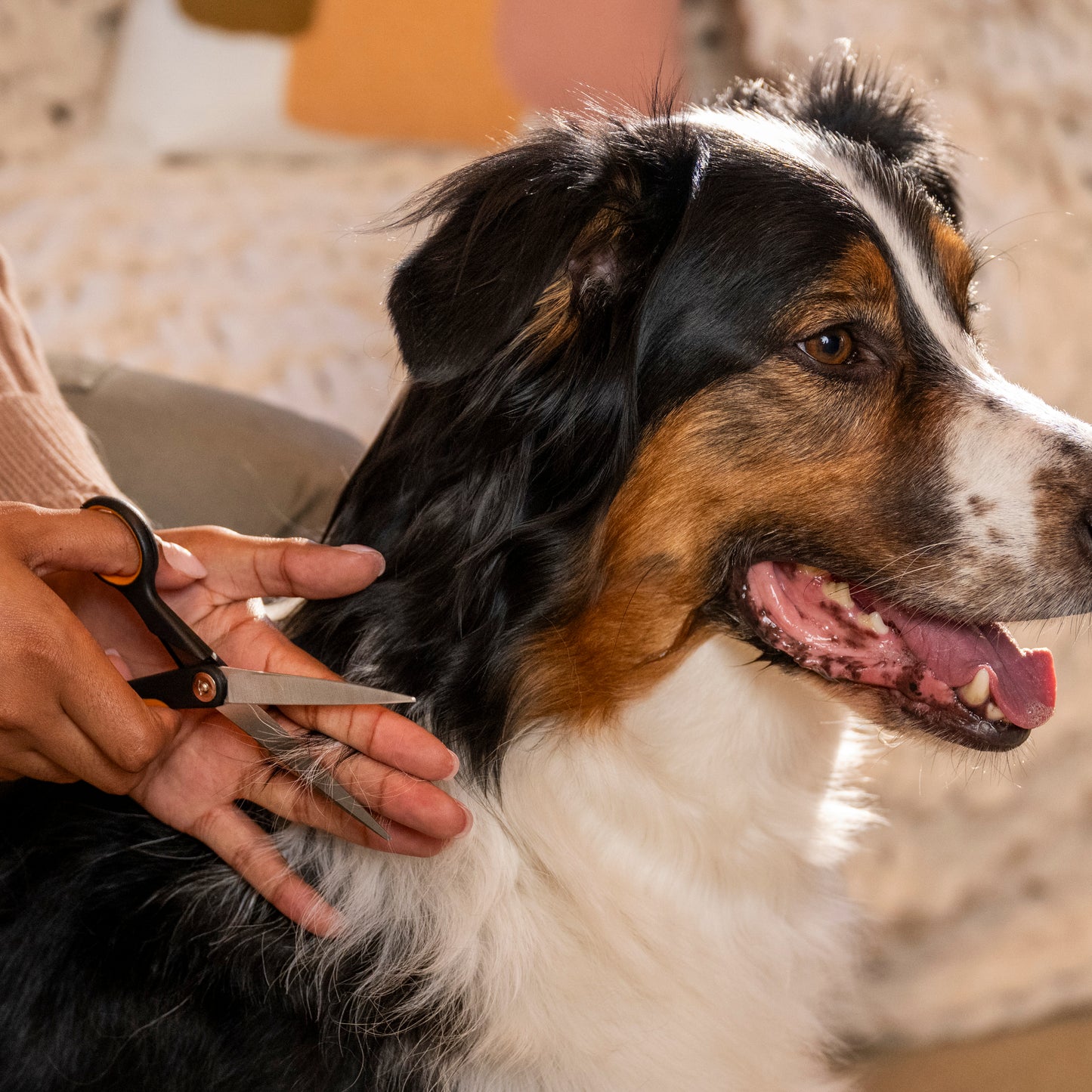 Fiskars Trimmaussakset