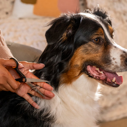 Fiskars Trimmaussakset