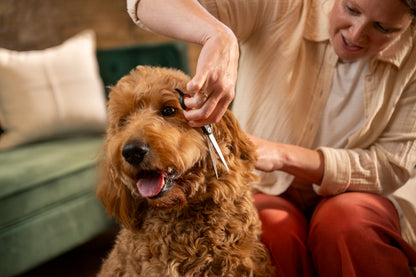 Fiskars Trimmaussakset