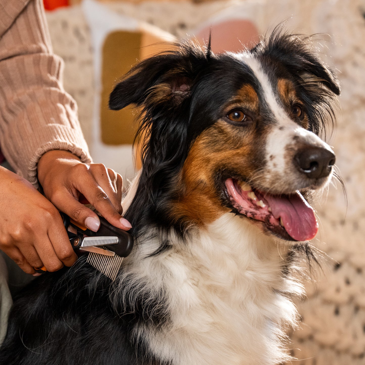 Fiskars Ohennussakset