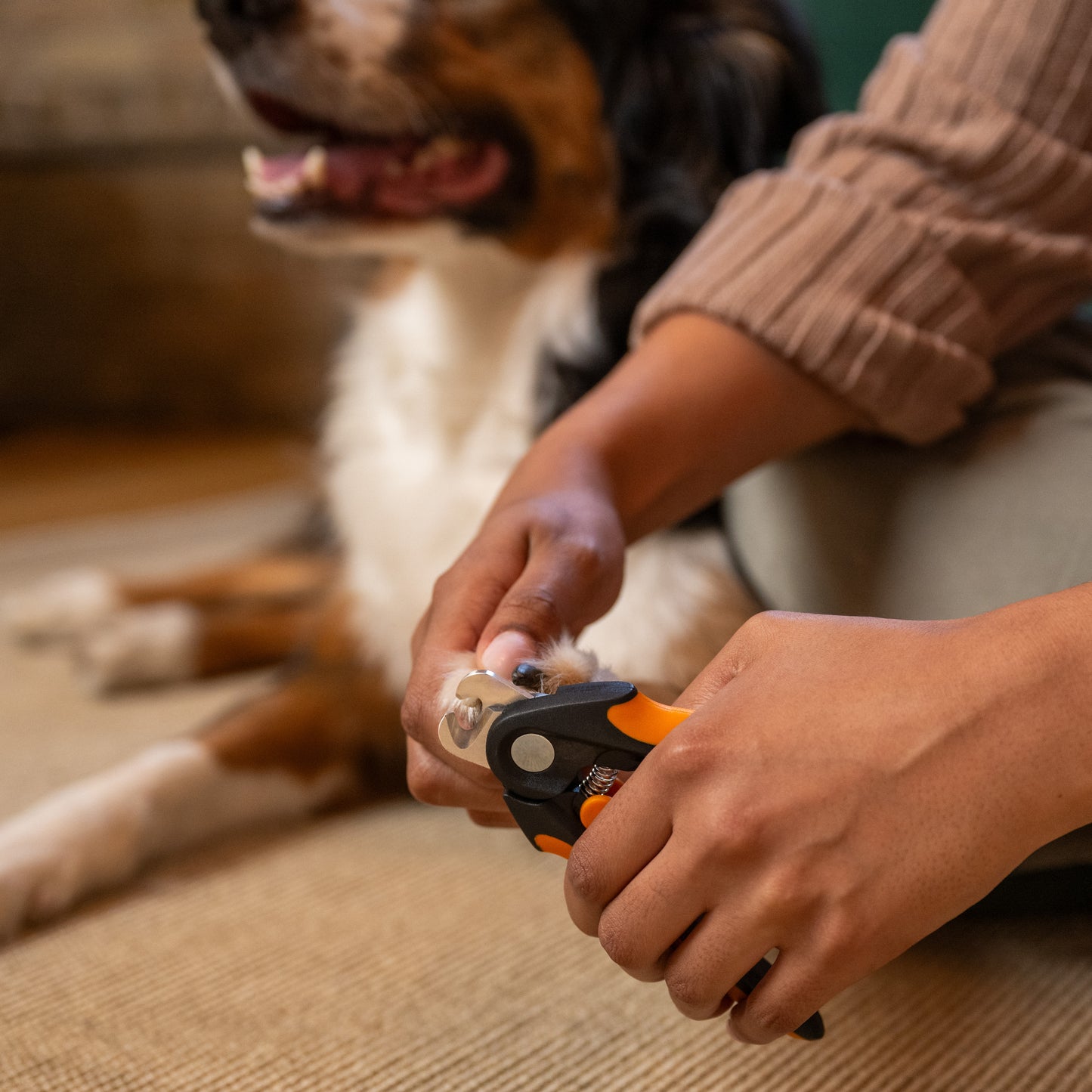 Fiskars Kynsileikkuri isommille kynsille