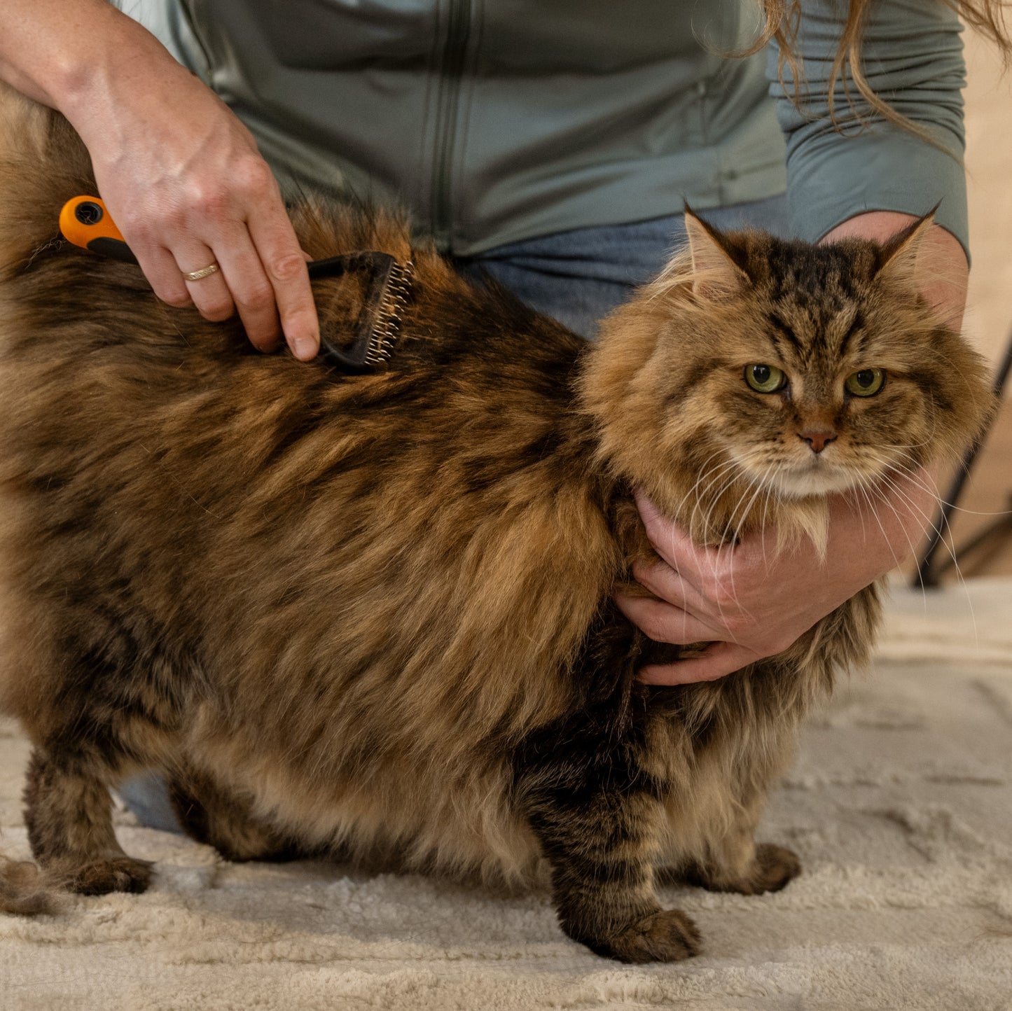 Fiskars Pohjavillahara