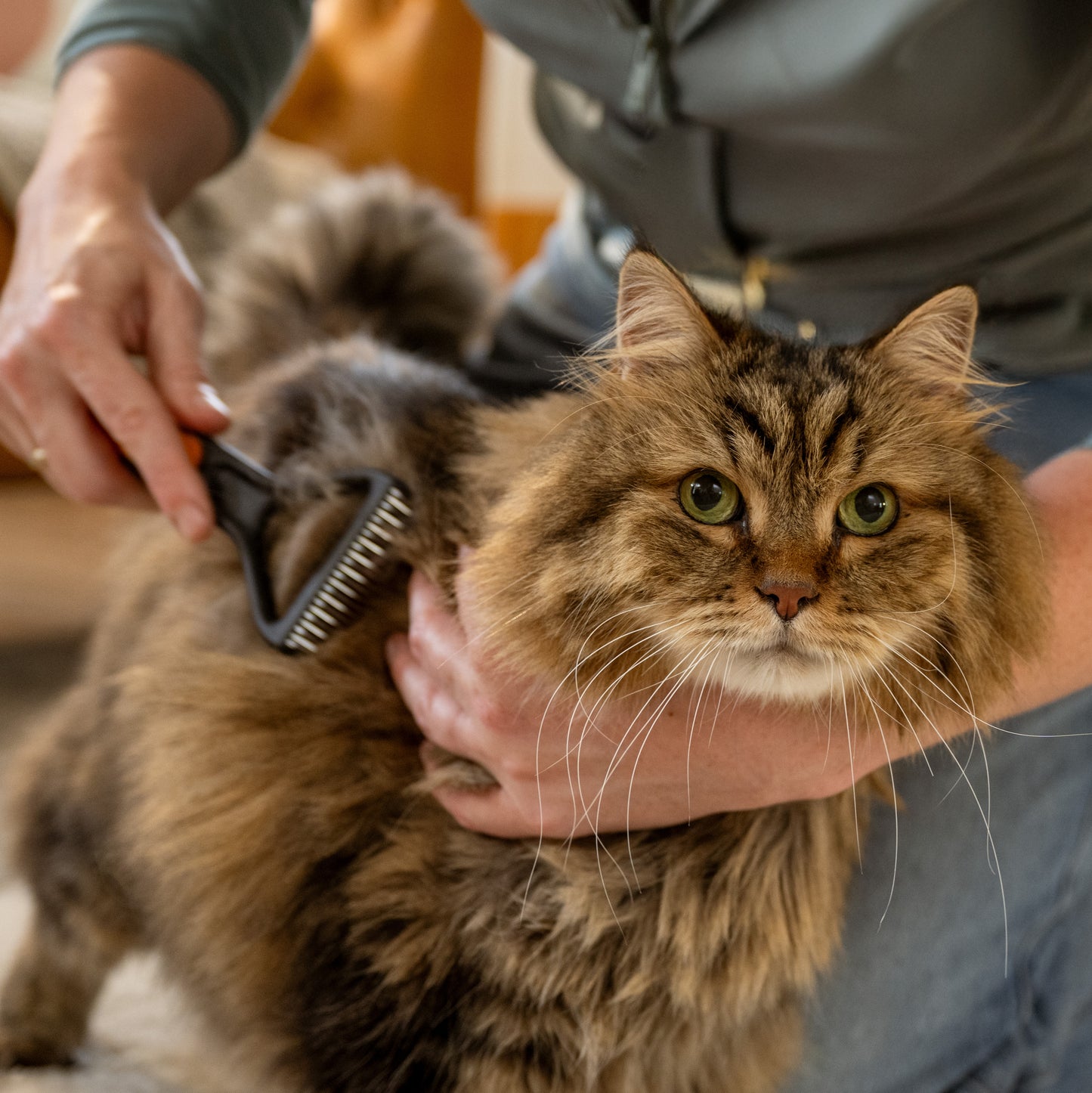 Fiskars Pohjavillahara