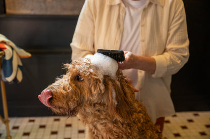 Fiskars Hierova harja