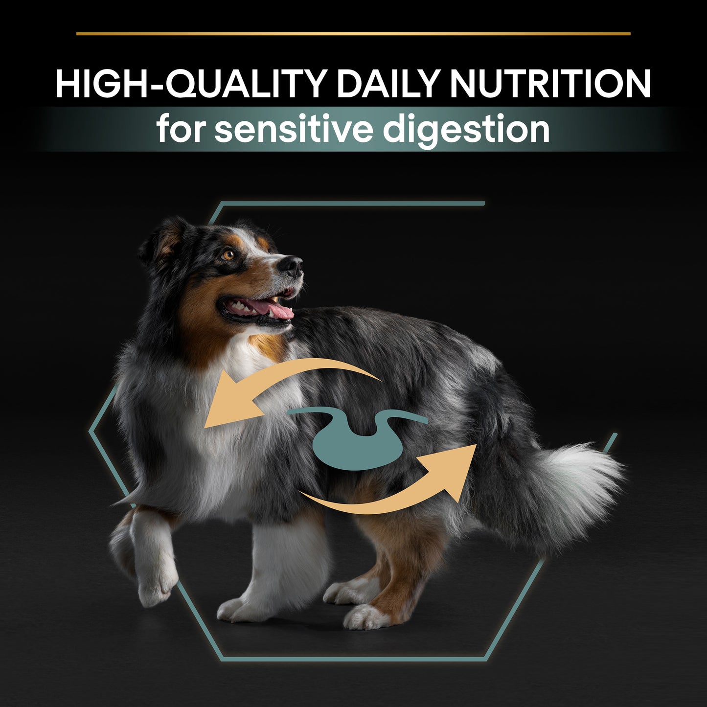 PURINA ® PRO PLAN ® Large Robust Adult Sensitive Digestion