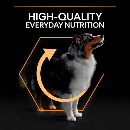 PURINA ® PRO PLAN ® Large Robust Adult