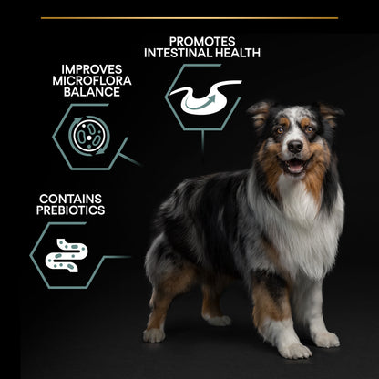 PURINA ® PRO PLAN ® Large Robust Adult Sensitive Digestion