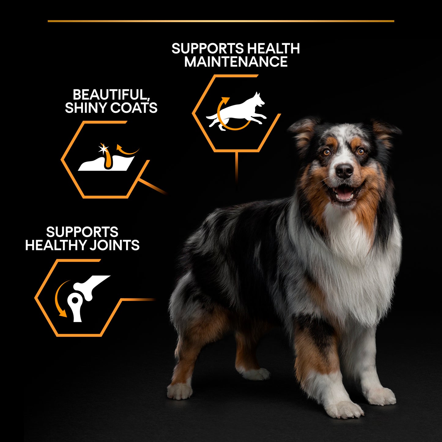 PURINA® PRO PLAN® Large Athletic Adult