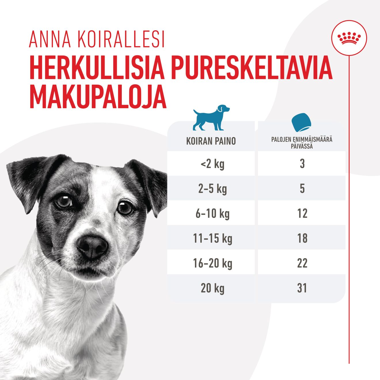 Royal Canin Training Treats 110 g