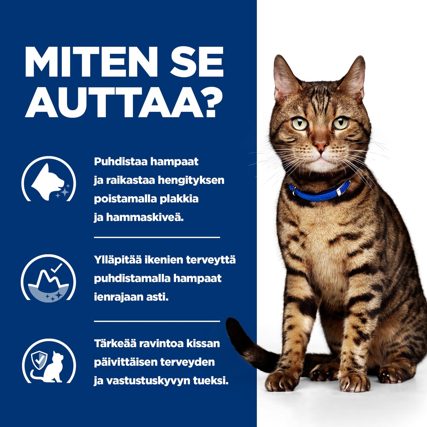 Hill's PRESCRIPTION DIET t/d hammassairauksiin kissan kuivaruoka - kana - How it Helps