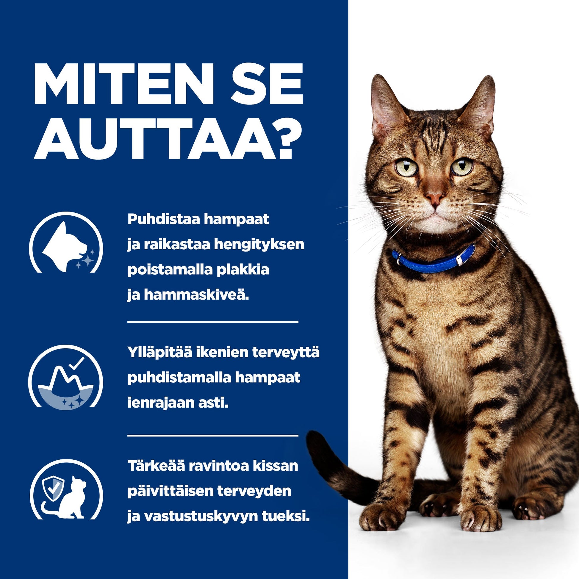 Hill's PRESCRIPTION DIET t/d hammassairauksiin kissan kuivaruoka - kana - How it Helps