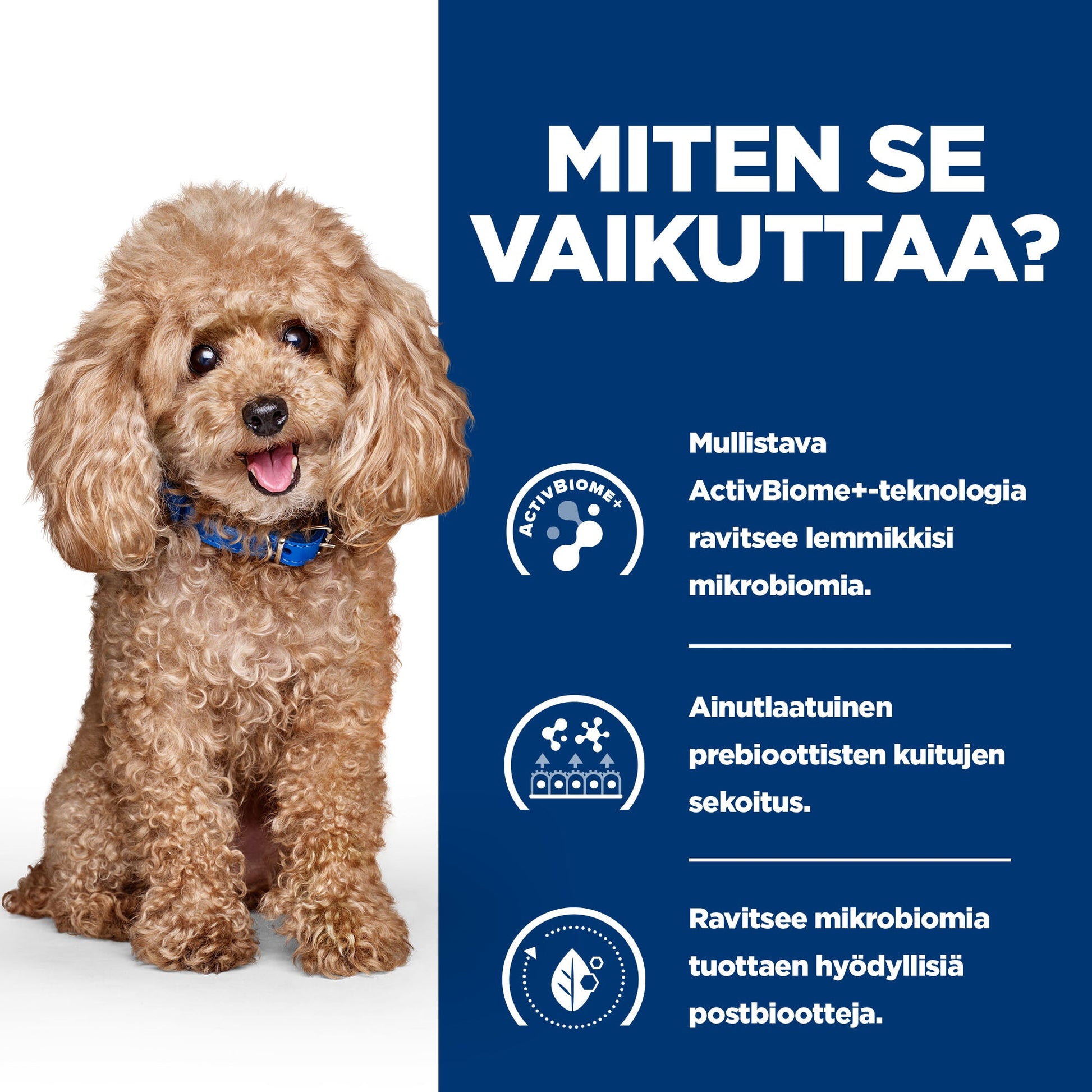Hill’s PRESCRIPTION DIET Gastrointestinal Biome Mini koiran kuivaruoka - kana - How it Works