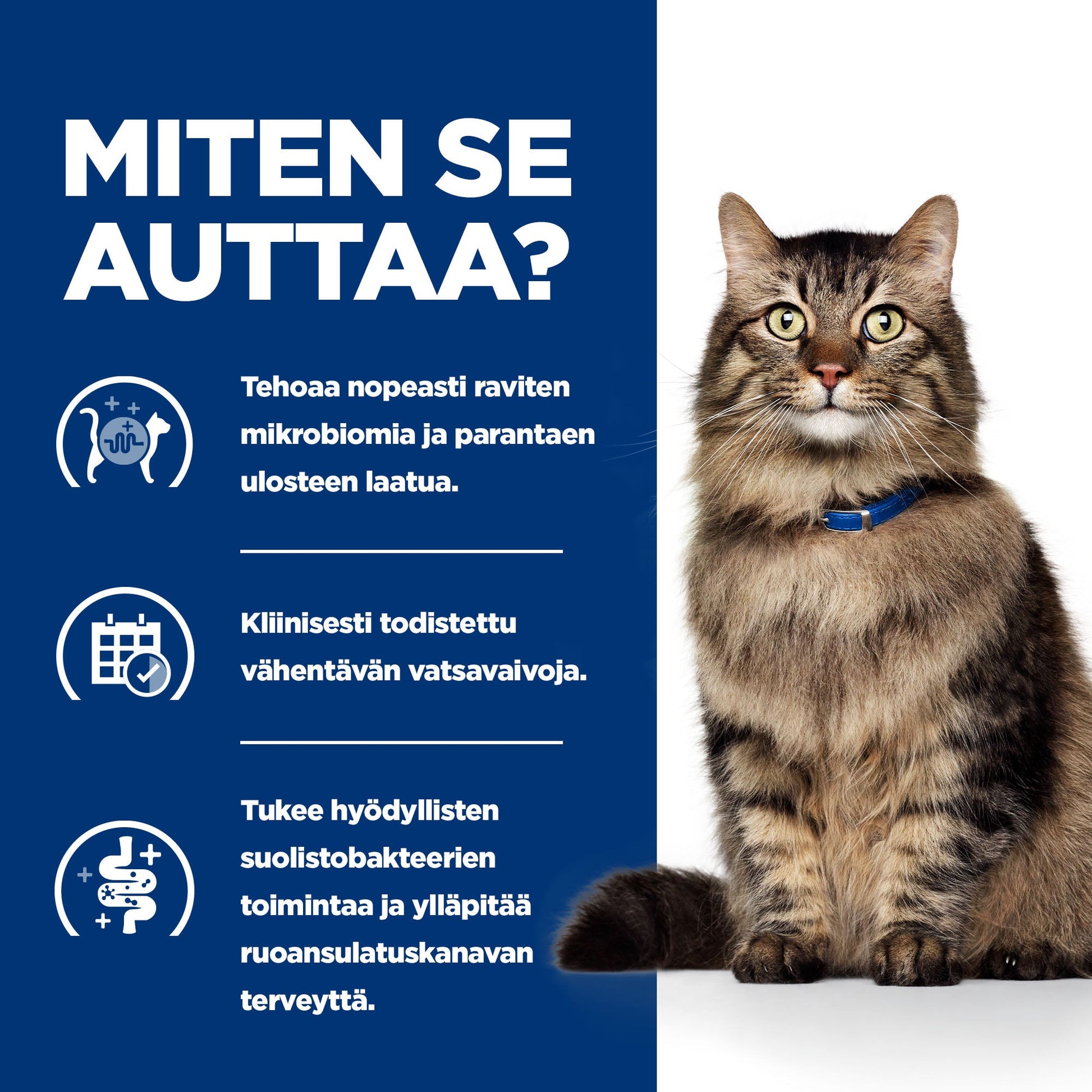 Hill’s PRESCRIPTION DIET Gastrointestinal Biome kissan kuivaruoka - kana - How it Helps