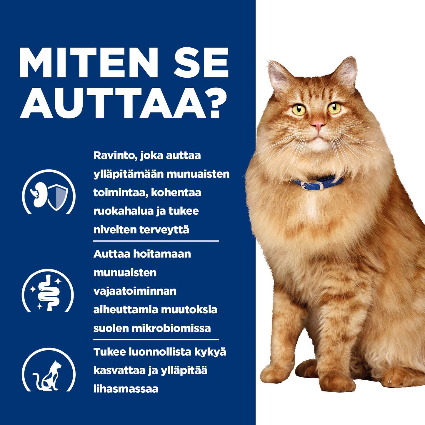 Hill's PRESCRIPTION DIET k/d + Mobility kissan kuivaruoka - kana - How it Helps