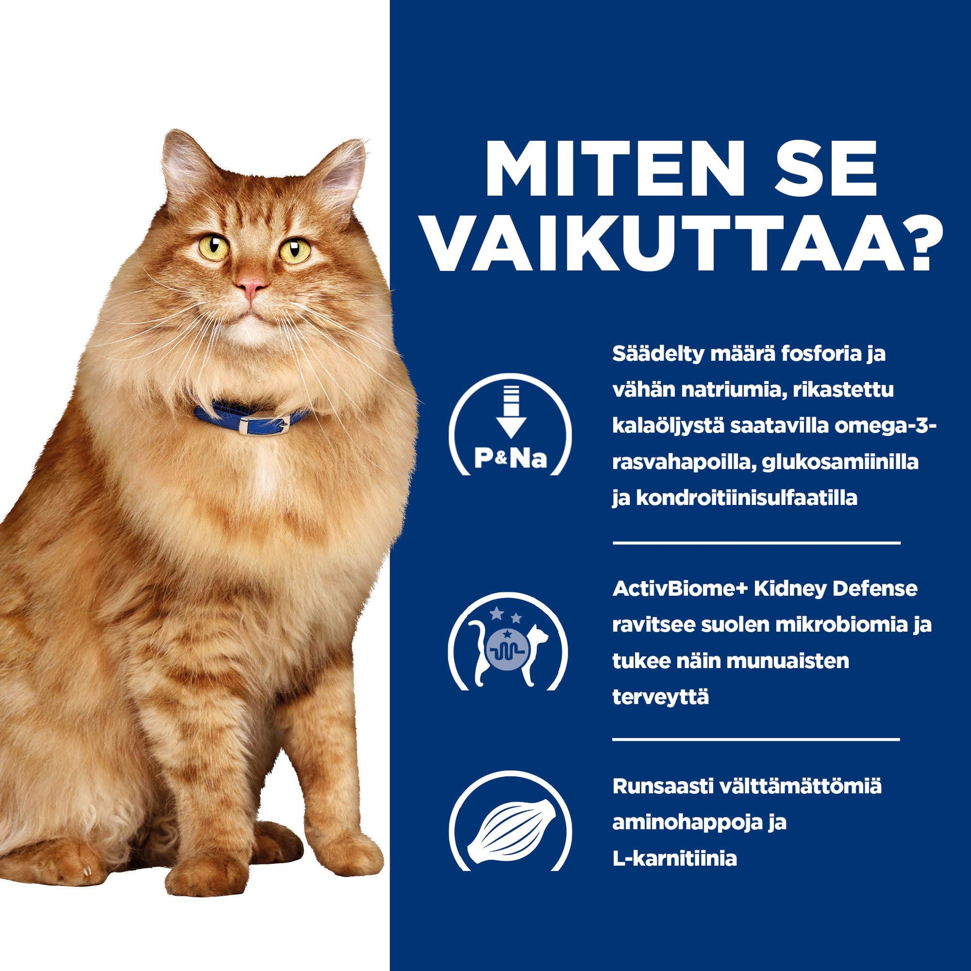 Hill's PRESCRIPTION DIET k/d + Mobility kissan kuivaruoka - kana - How it Works