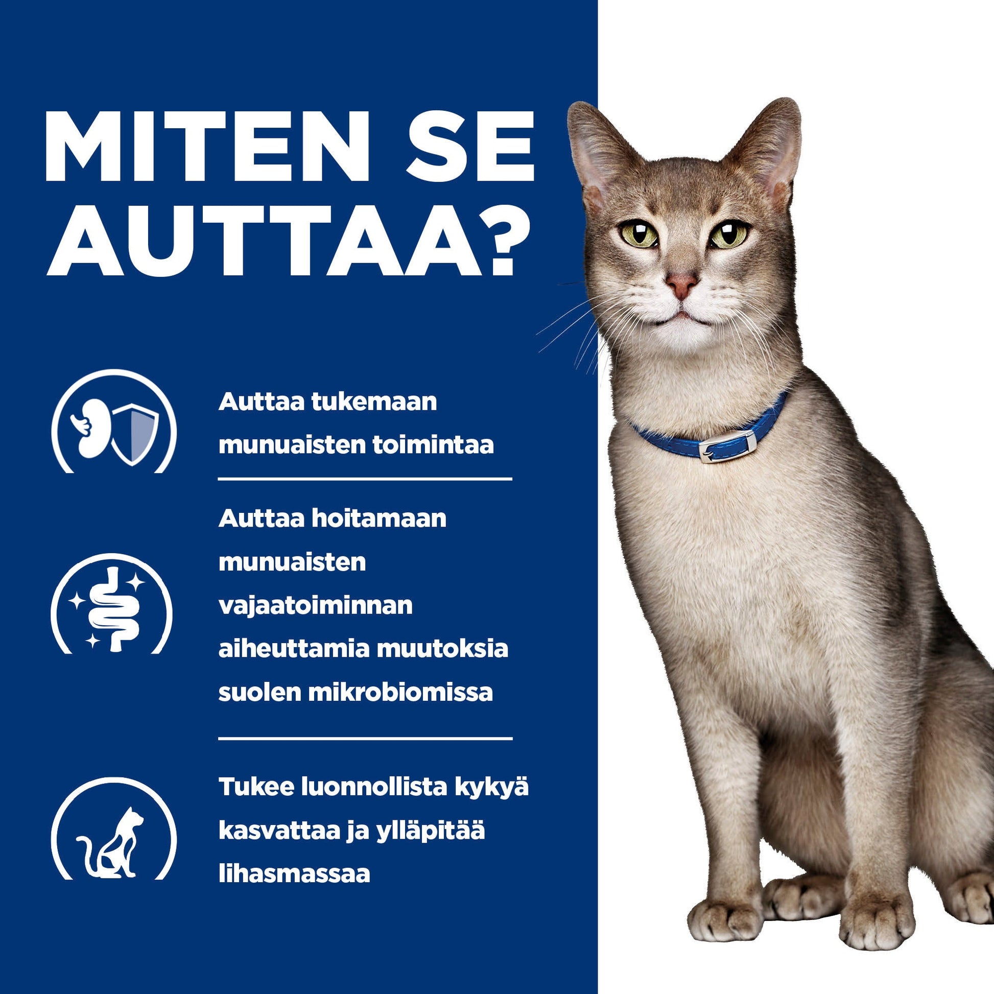 Hill's PRESCRIPTION DIET k/d kissan kuivaruoka - tonnikala - How it Helps