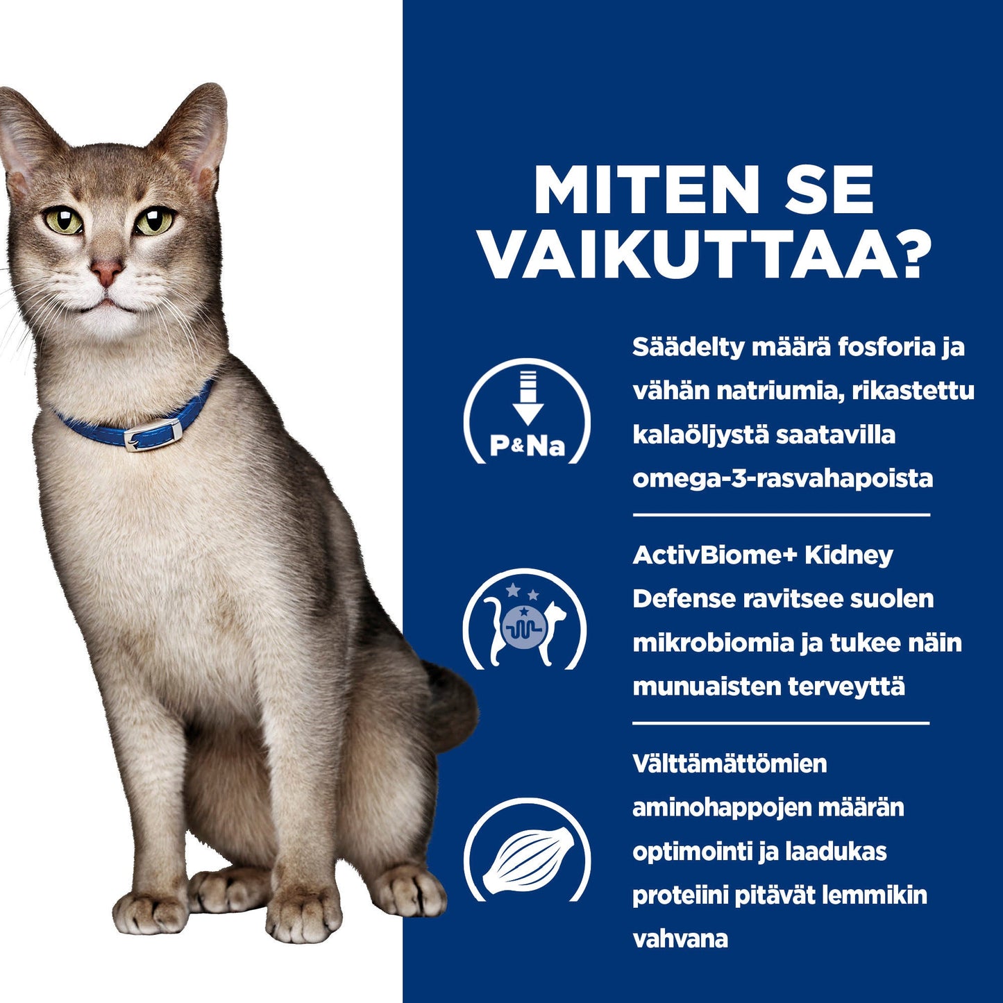 Hill's PRESCRIPTION DIET k/d kissan kuivaruoka - tonnikala - How it Works