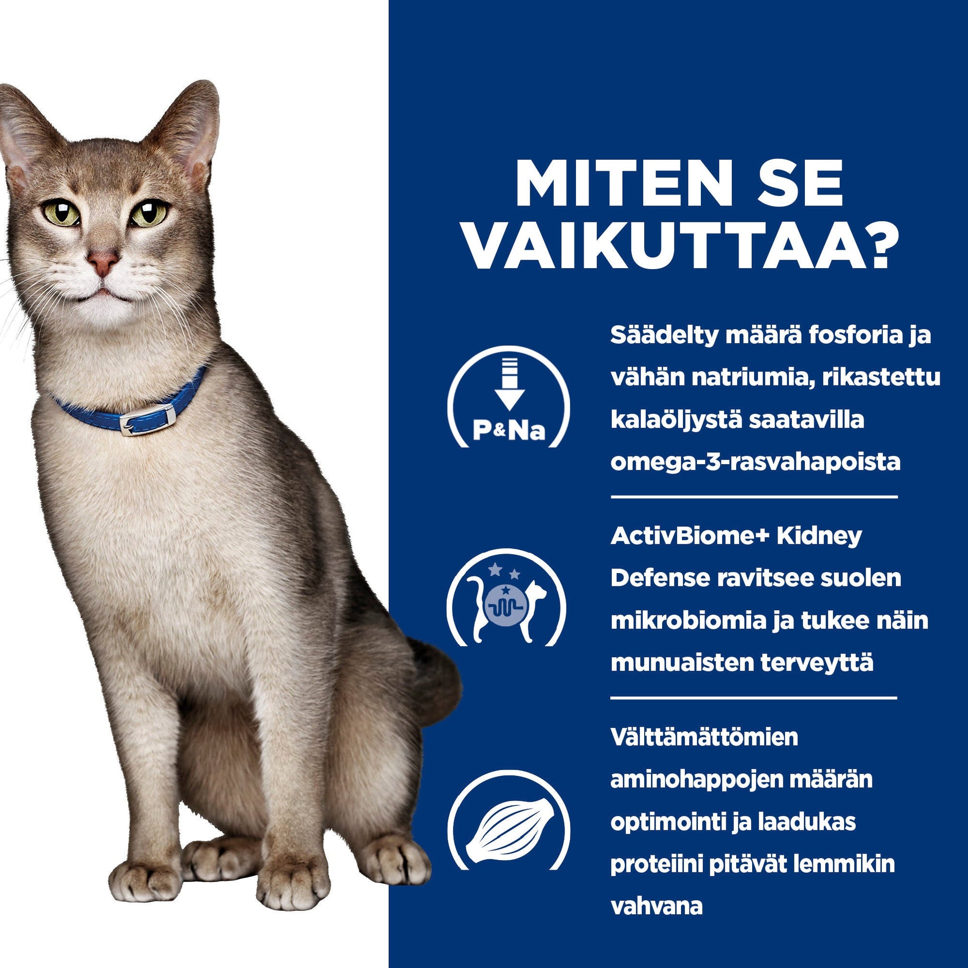 Hill's PRESCRIPTION DIET k/d kissan kuivaruoka - tonnikala - How it Works