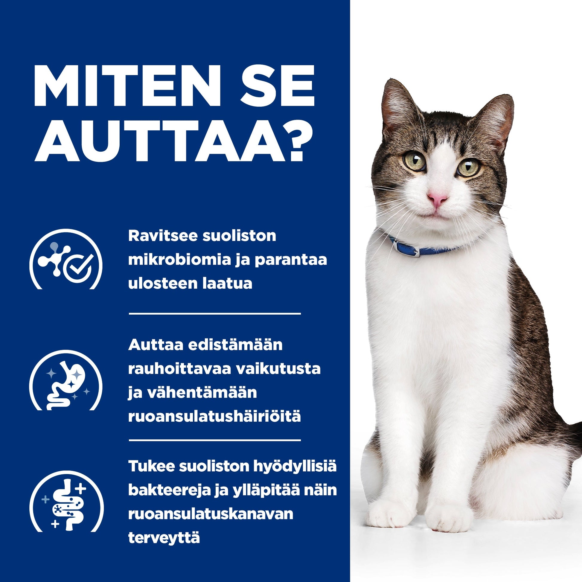 Hill's Prescription Diet Gastrointestinal Biome Stress with Chicken -kissanruoka Pussi - How it Helps