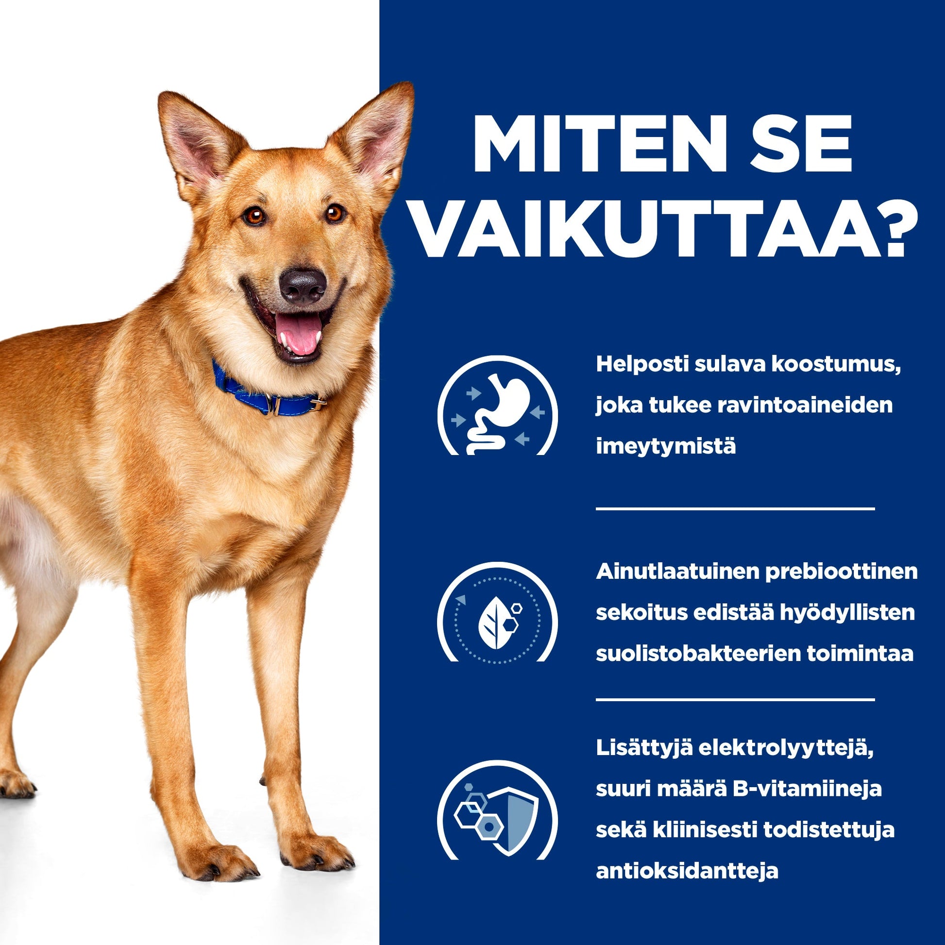 Hill's PRESCRIPTION DIET i/d koiran märkäruoka - kana 12x354g - How it Works