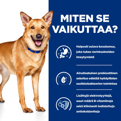 Hill's PRESCRIPTION DIET i/d koiran märkäruoka - kana 12x354g - How it Works