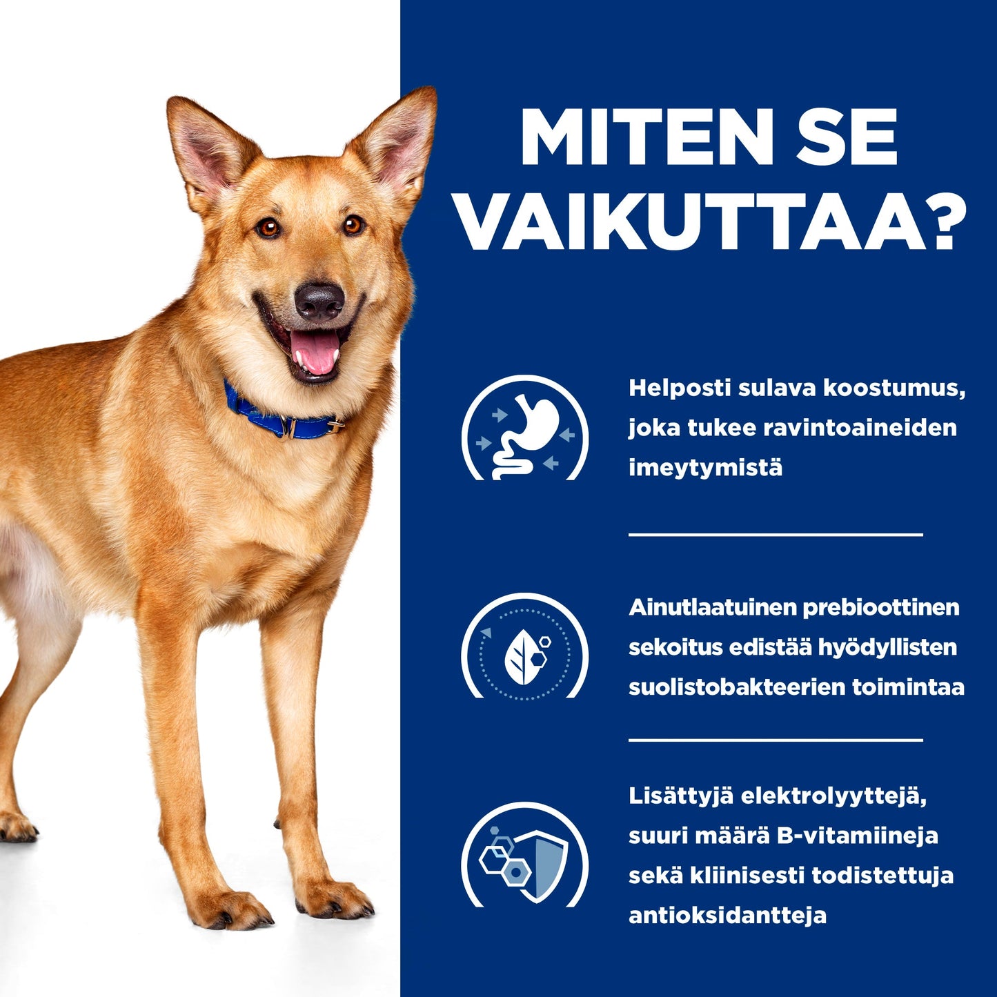 Hill's PRESCRIPTION DIET i/d koiran kuivaruoka - kana - How it Works