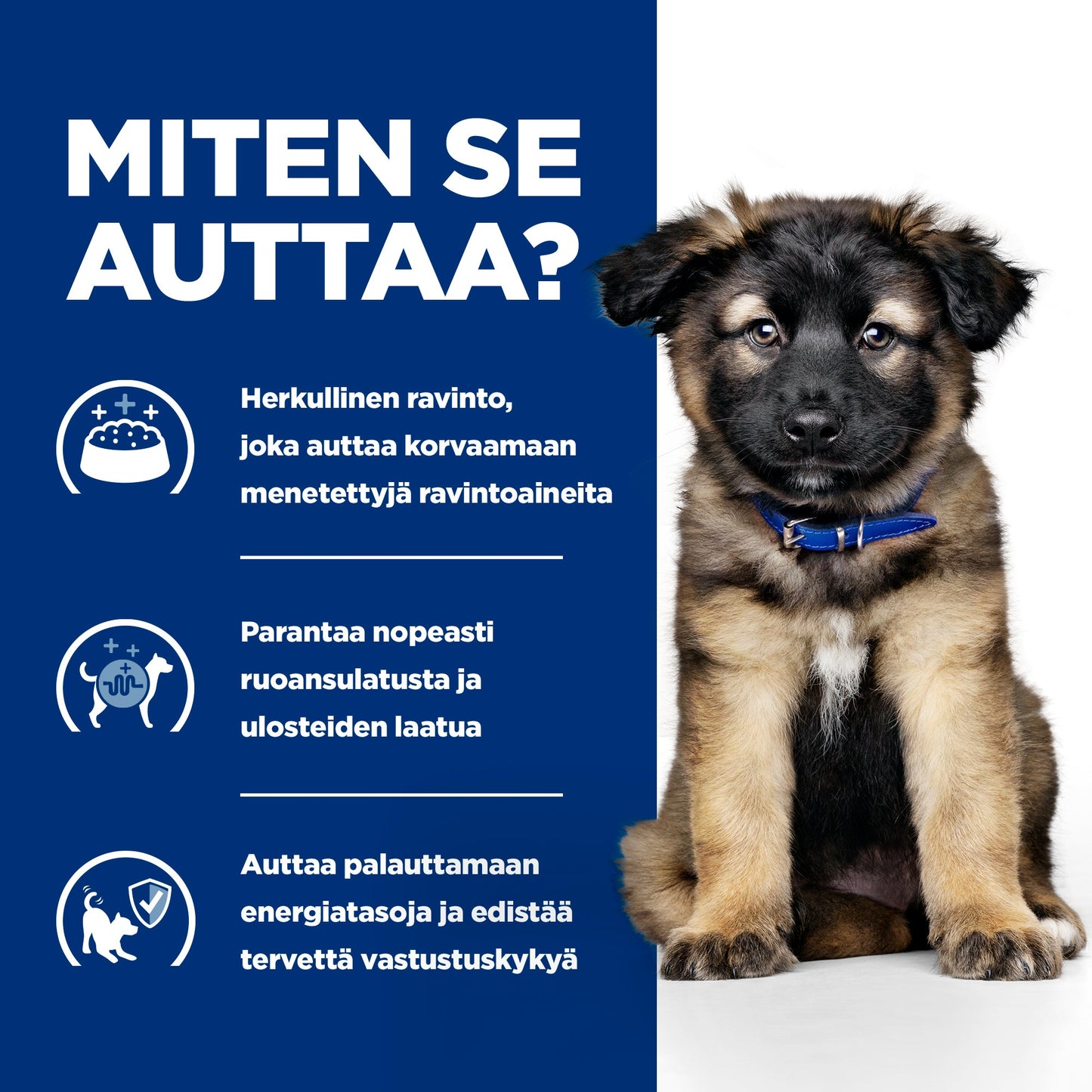 Hill's Prescription Diet i/d Digestive Care Puppy with Chicken -kuivaruoka koiranpennuille Pussi - How it Helps