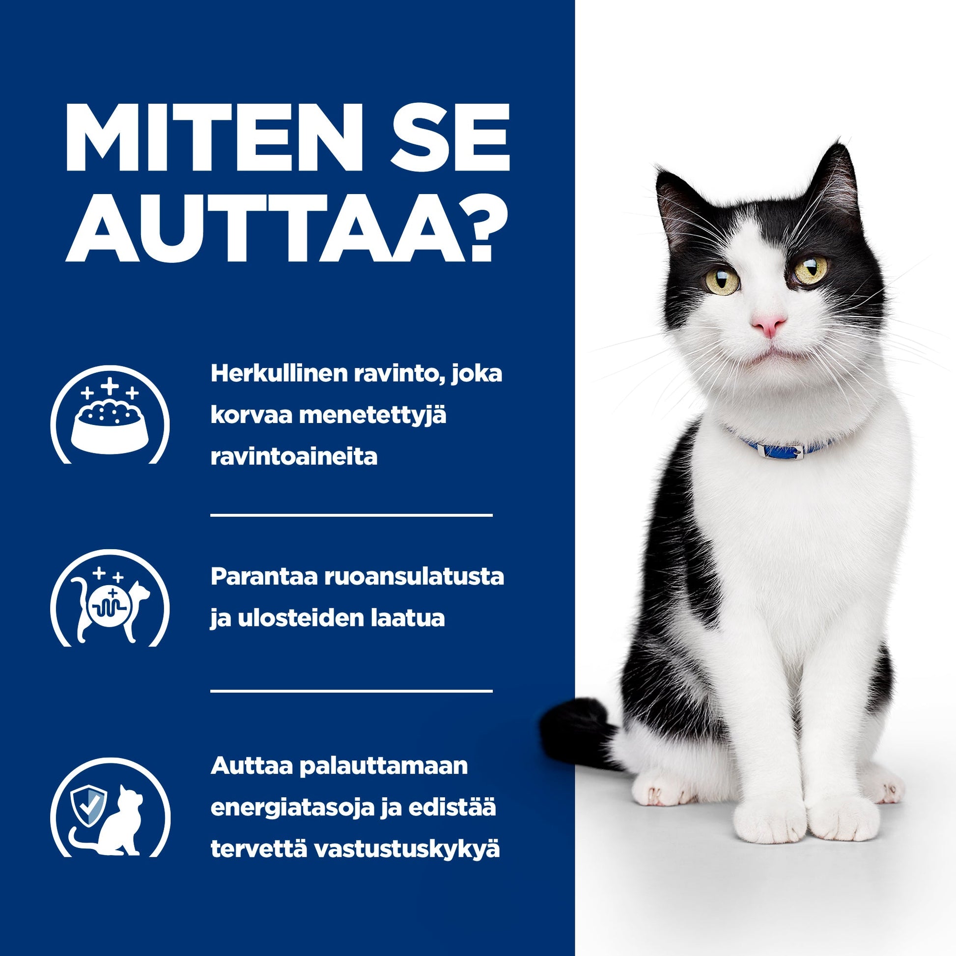 Hill's PRESCRIPTION DIET i/d kissan märkäruoka - kana 12x85g - How it Helps