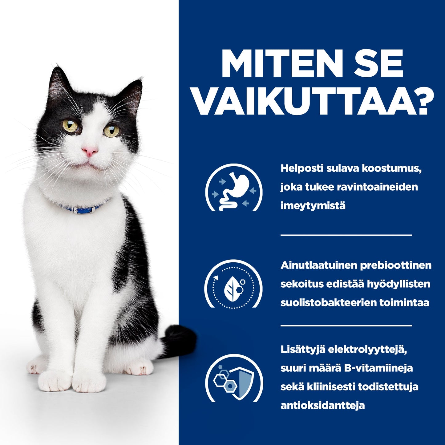 Hill's PRESCRIPTION DIET i/d kissan märkäruoka - lohi 12x85g - How it Works