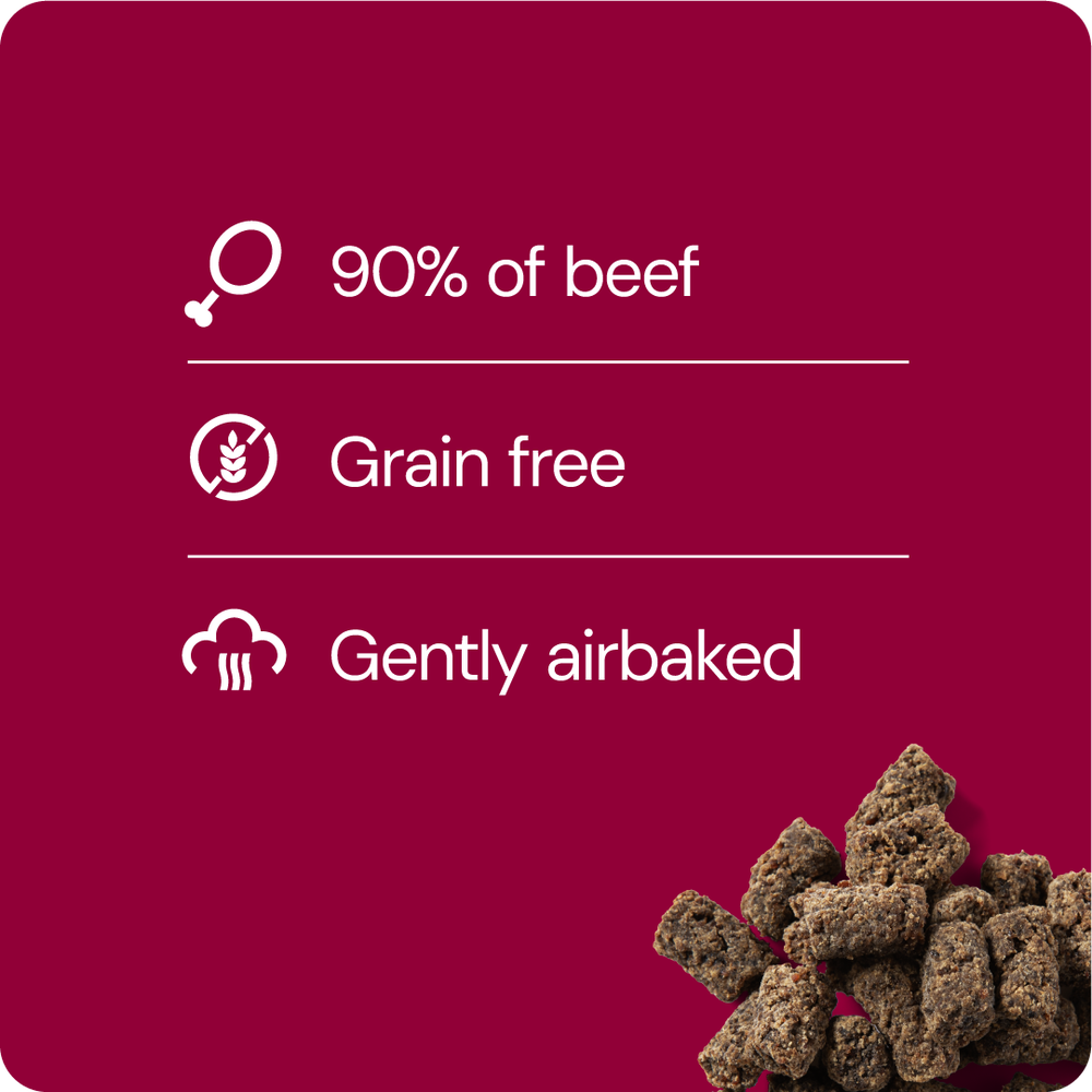 Nutriment (ent.RAUH!) Cold-dried Tripe Sticks 100 g
