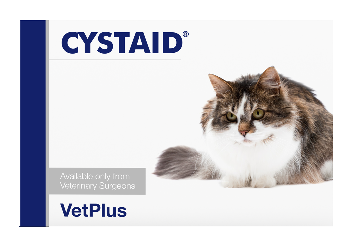 Cystaid - Virtsateiden hyvinvoinnin tueksi kissoille