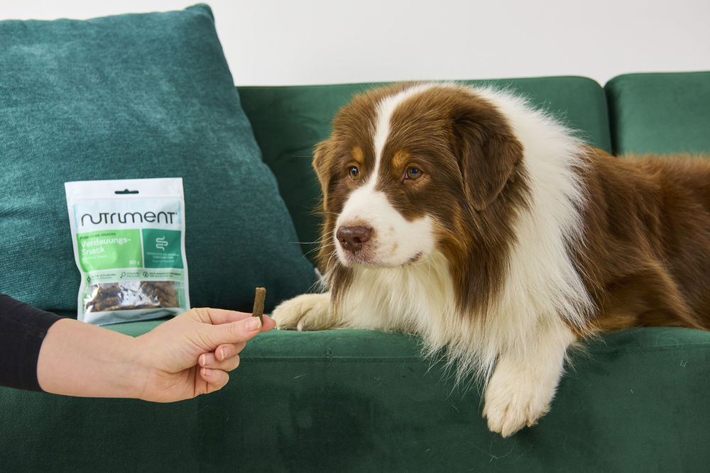 Nutriment® Digestion Snack 90 g