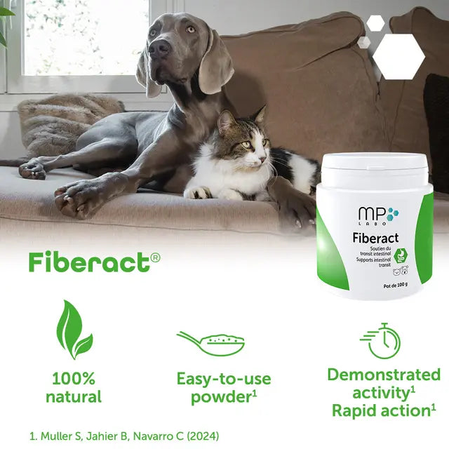 Fiberact - Kuitulisä koirille ja kissoille 100 g