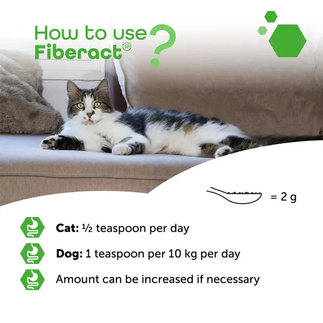 Fiberact - Kuitulisä koirille ja kissoille 100 g