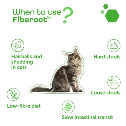 Fiberact - Kuitulisä koirille ja kissoille 100 g