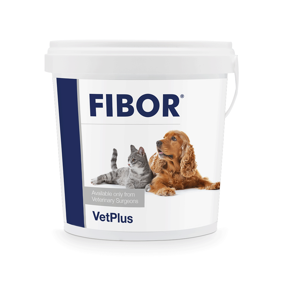 Fibor - Kuitulisä koirille ja kissoille 500 g